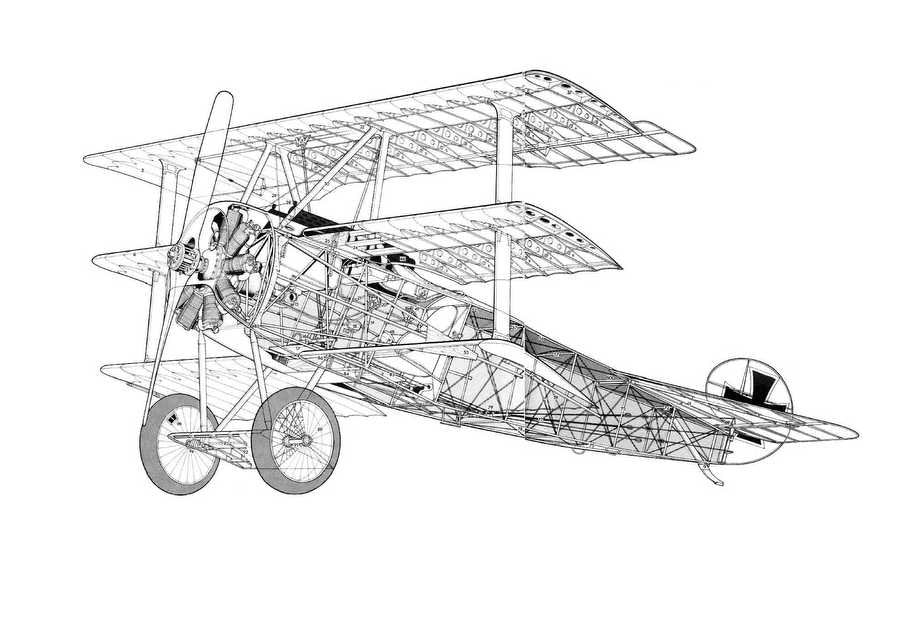 Fokker DrI cutaway A4 Photo Print