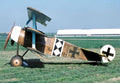 Fokker Dri Triplane Fighter German Empire 3 A4 Photo Print