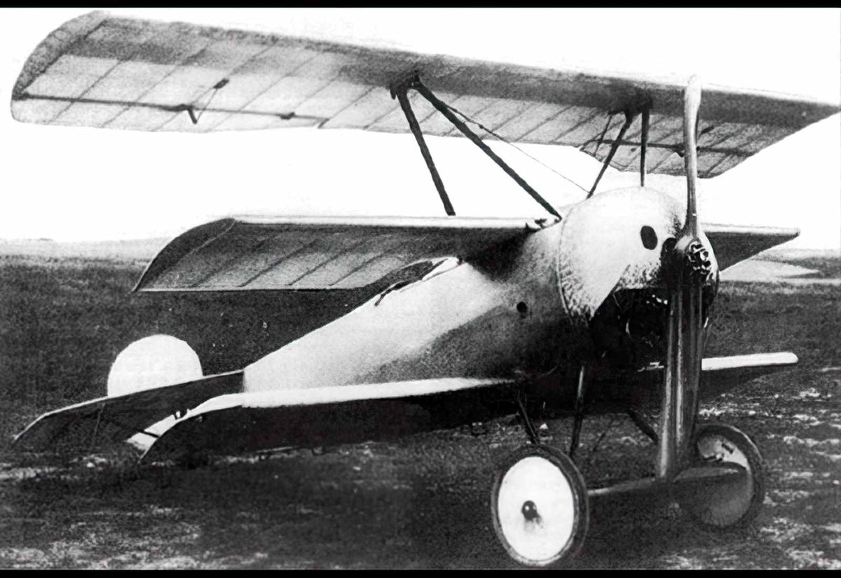 Fokker V4 Triplane Fighter Prototype A4 Photo Print