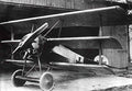 Fokker V5 Triplane Fighter Prototype Imperial Germany A4 Photo Print