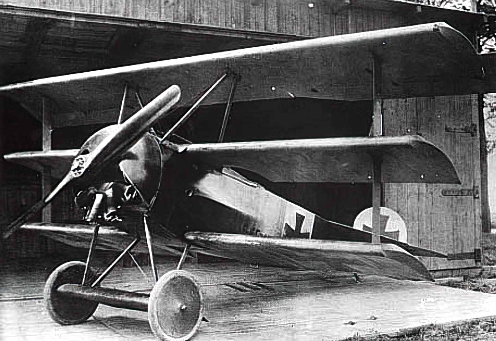 Fokker V5 Triplane Fighter Prototype Imperial Germany A4 Photo Print
