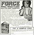 Force Flakes Sample Vintage Retro Advert Poster A4 Photo Print