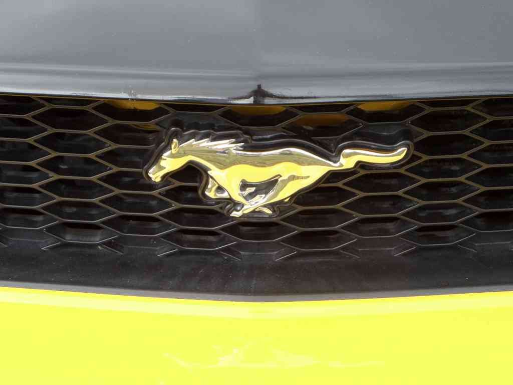 Ford Mustang Boot Bonnet 2692 A4 Photo Print