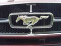 Ford Mustang MK 1 Boot Bonnet 2498 A4 Photo Print