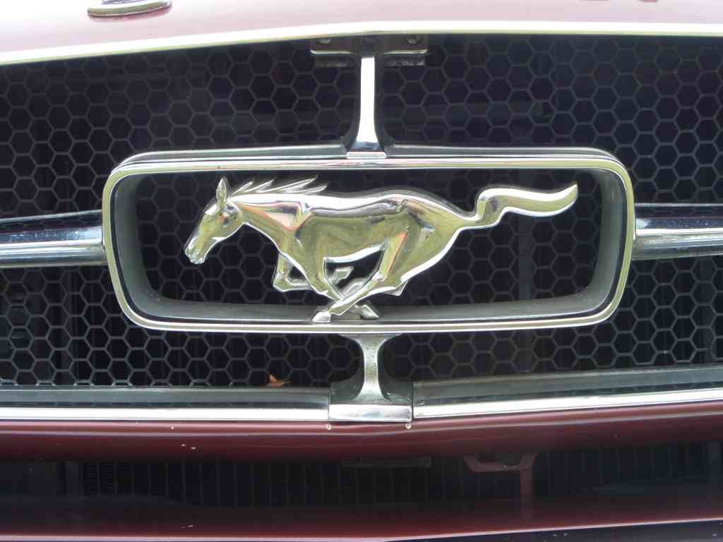 Ford Mustang MK 1 Boot Bonnet 2498 A4 Photo Print