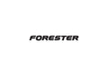 Forester A4 Photo Print