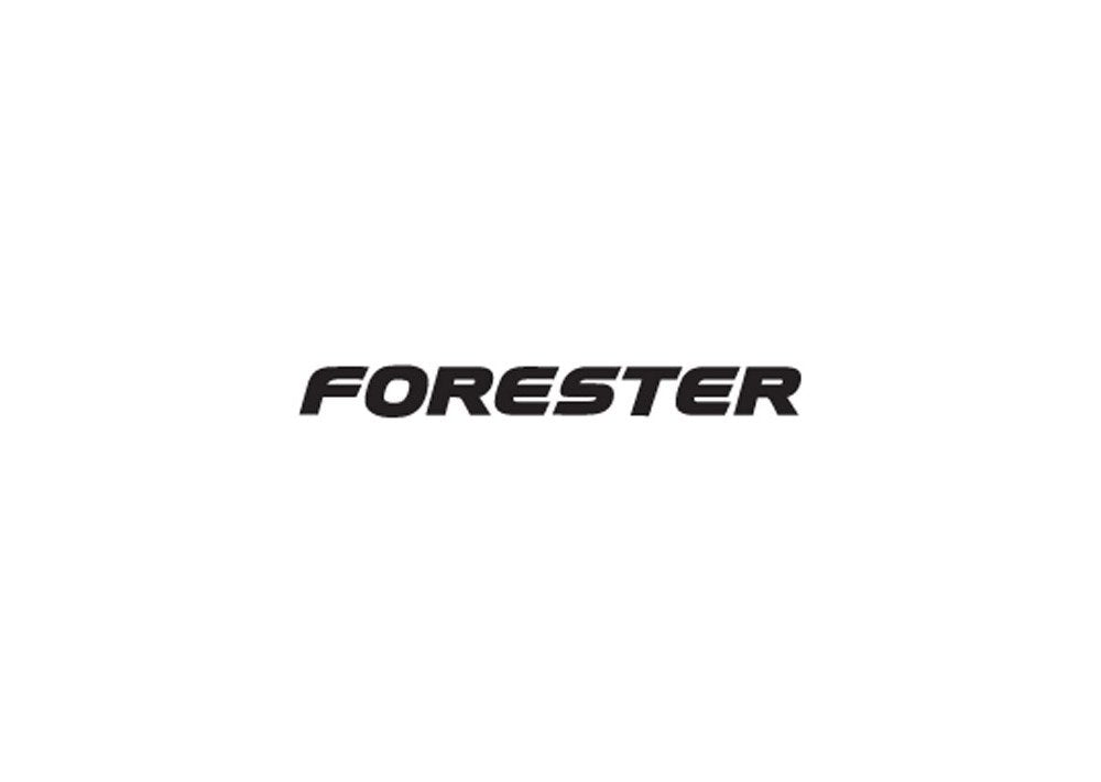 Forester A4 Photo Print