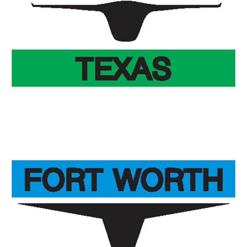 Fortworth City Flag N6046 A4 Photo Print