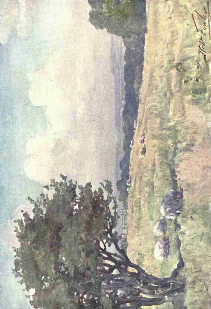 Fowler Robert 1853 1926 Beautiful Wales 1905 Sunny field near Llanberis A4 Photo Print