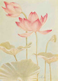 Fowler Water Gardening 1935 Water lily Egyptian Lotus A4 Photo Print