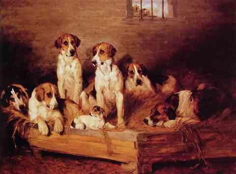 Foxhounds And Terriers In A Kennel A4 Photo Print