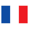 France Flag N1343 A4 Photo Print