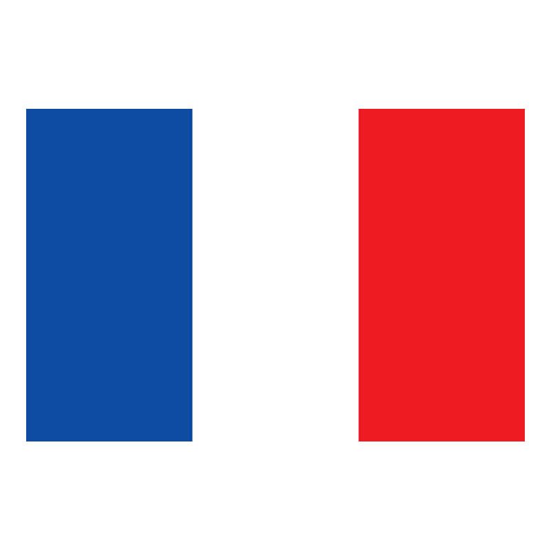 France Flag N1343 A4 Photo Print