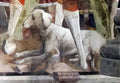 Francesco del Cossa palazzo schifanoia salone dei mesi 04 aprile f 5 Art A4 Photo Print