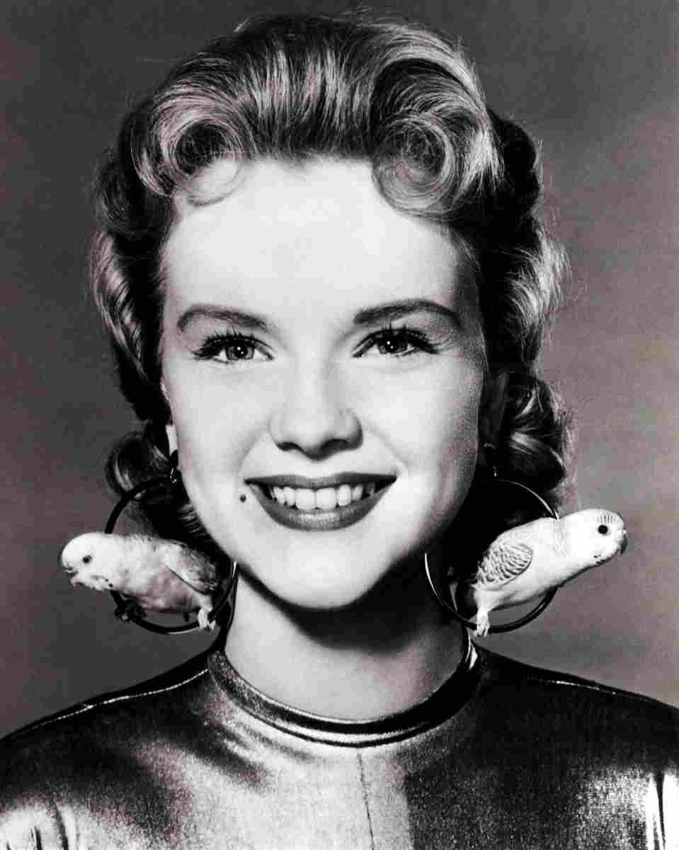 Francis Anne 1 film star poster A4 Photo Print