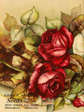 Frank L Emma V Catalogue 1921 Red Roses A4 Photo Print