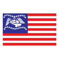 Fremont City Flag N6038 A4 Photo Print