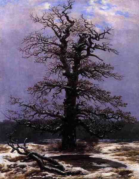 Friedrich Caspar David Oak In The Snow A4 Photo Print