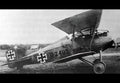 Friedrichshafen Ff46 Di Biplane Fighter Prototype German Empire A4 Photo Print