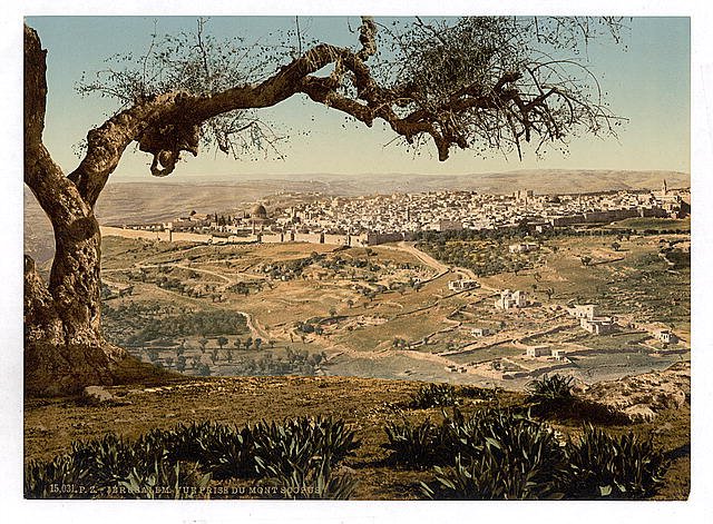 From Mount Scopus Jerusalem Vintage A4 Photo Print