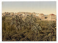 From the garden Jaffa Vintage A4 Photo Print