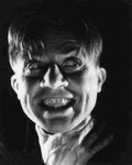 Frye Dwight Bride of Frankenstein The 1 film star poster A4 Photo Print
