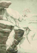 Fuertes Agassiz 1918 Peary Caribou & Arctic Wolf A4 Photo Print