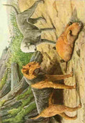 Fuertes Louis Agassiz 1919 Airedale & Redlington Terrier A4 Photo Print