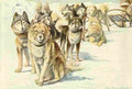 Fuertes Louis Agassiz 1919 Alaskan Eskimo Dogs A4 Photo Print