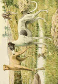 Fuertes Louis Agassiz 1919 Greyhounds A4 Photo Print