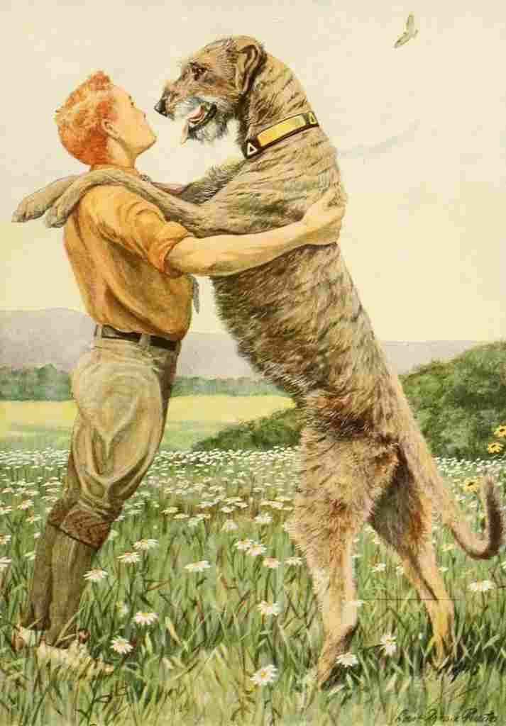 Fuertes Louis Agassiz 1919 Irish Wolfhound A4 Photo Print