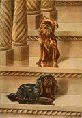 Fuertes Louis Agassiz 1919 King Charles Spaniel & Brussels Griffon A4 Photo Print