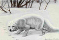 Fuertes Louis Agassiz 1920 Arctic Fox A4 Photo Print