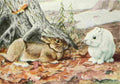 Fuertes Louis Agassiz 1920 Northern Hare A4 Photo Print