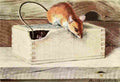 Fuertes Louis Agassiz 1920 Wood Mouse A4 Photo Print