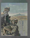 Fuertes Louis Agassiz Gelada Baboon 2 A4 Photo Print