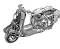 Fuji Rabbit cutaway A4 Photo Print