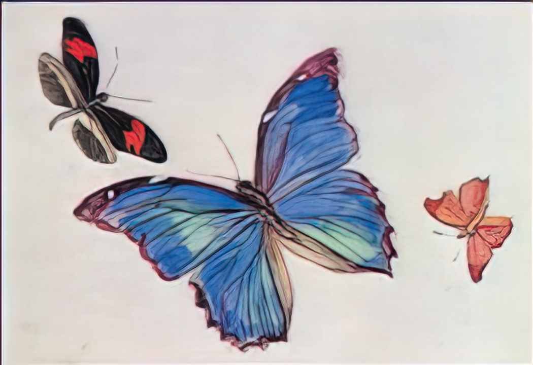 Fujishima Takeji fujishimatakeji 1900 1906 notebooks butterflies 3 Art A4 Photo Print