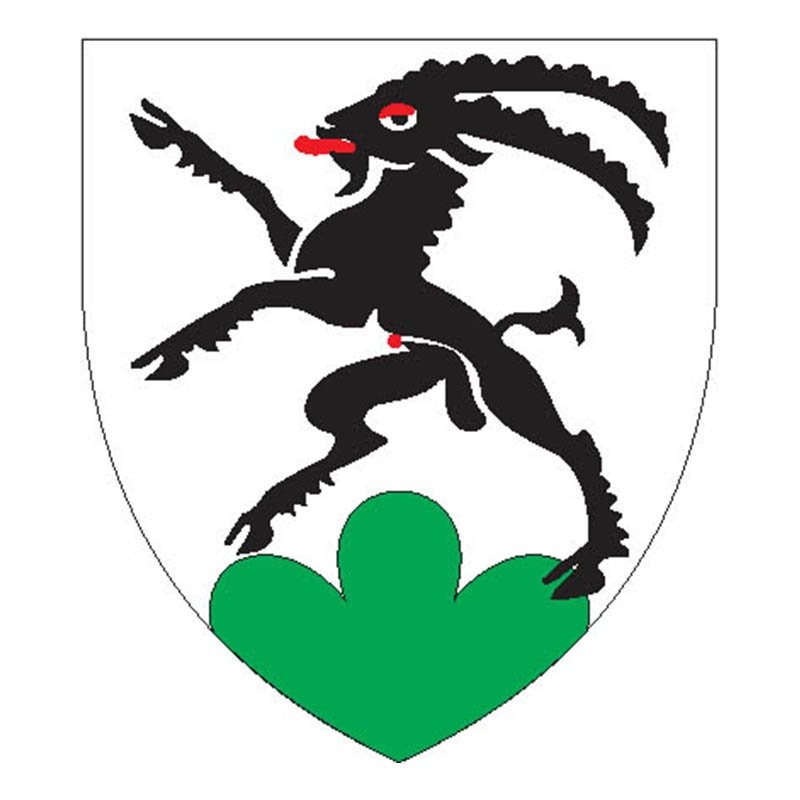 Funfdorfer Circle Coat Of Arms N3209 A4 Photo Print