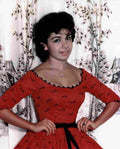 Funicello Annette 1 film star poster A4 Photo Print