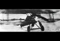 Fvm J24 Biplane Fighter Prototype Aircraft Sweden A4 Photo Print