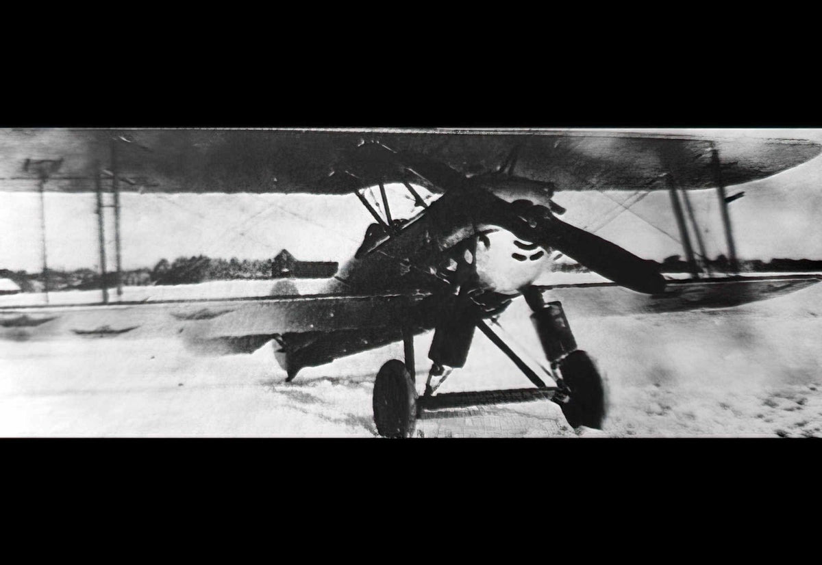 Fvm J24 Biplane Fighter Prototype Aircraft Sweden A4 Photo Print