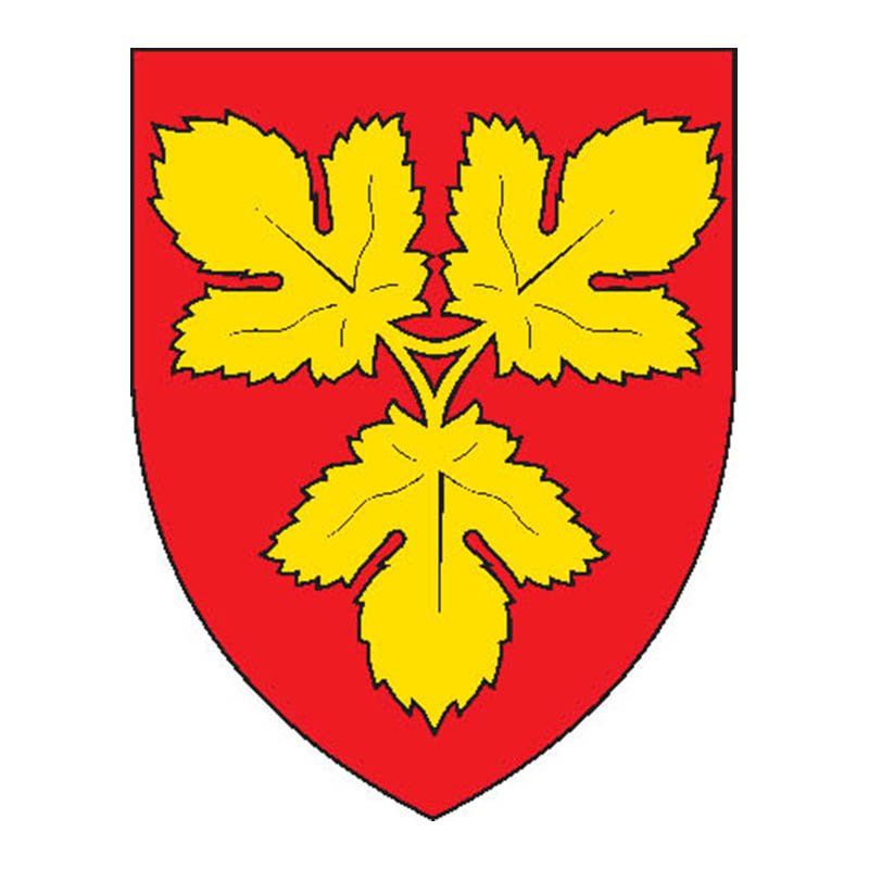 Fyns Amt Coat Of Arms N6236 A4 Photo Print
