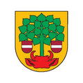 G1266 Valmiera City A4 Photo Print