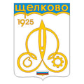G1326 Schelkovo City A4 Photo Print