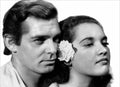Gable Clark Mutiny on the Bounty 5 film star poster A4 Photo Print