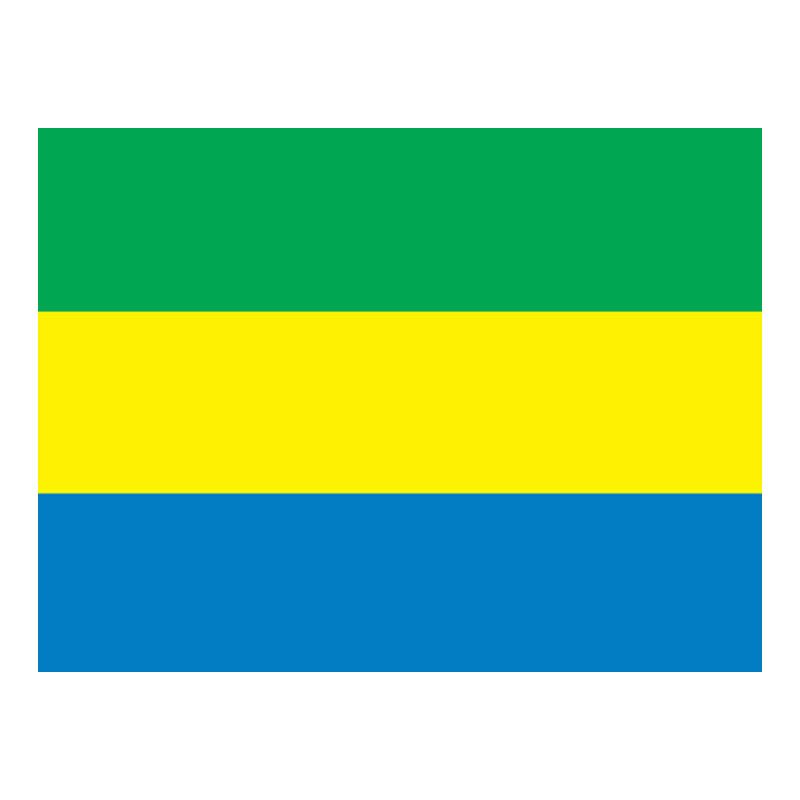 Gabon Flag N1771 A4 Photo Print