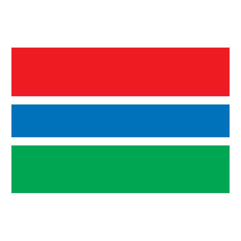 Gambia Flag N1772 A4 Photo Print