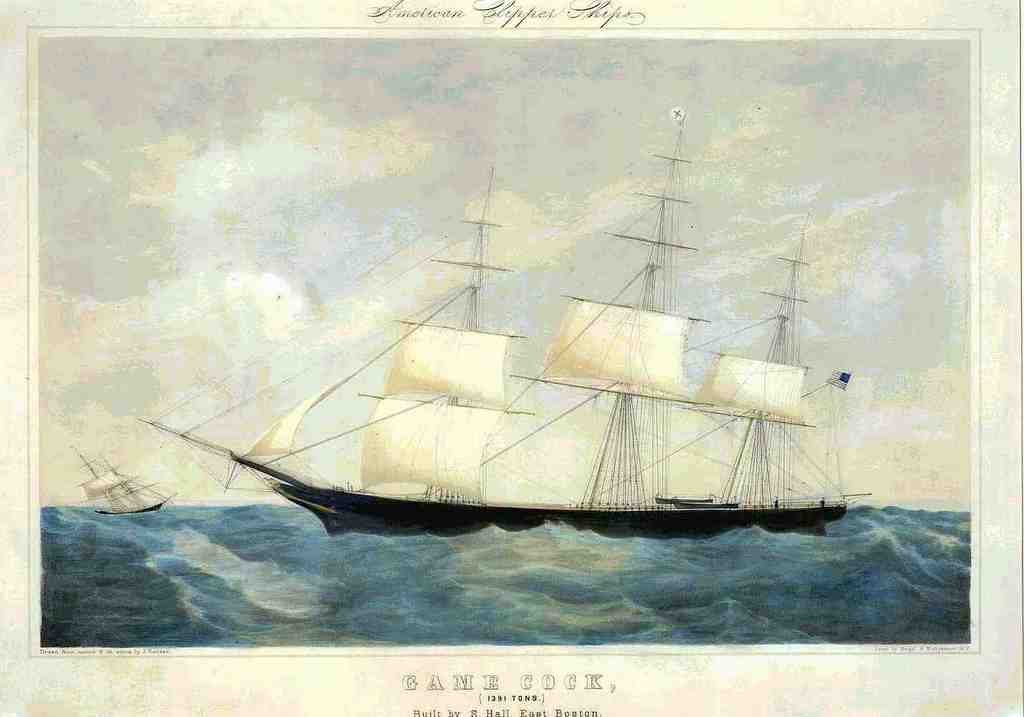 Game Cock Ship Vintage A4 Photo Print