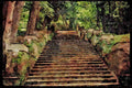 Garden 346024 Staircase Villa D'Este, Italy A4 Limited Edition Watercolour Print